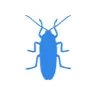 Уничтожение тараканов в Краснознаменске